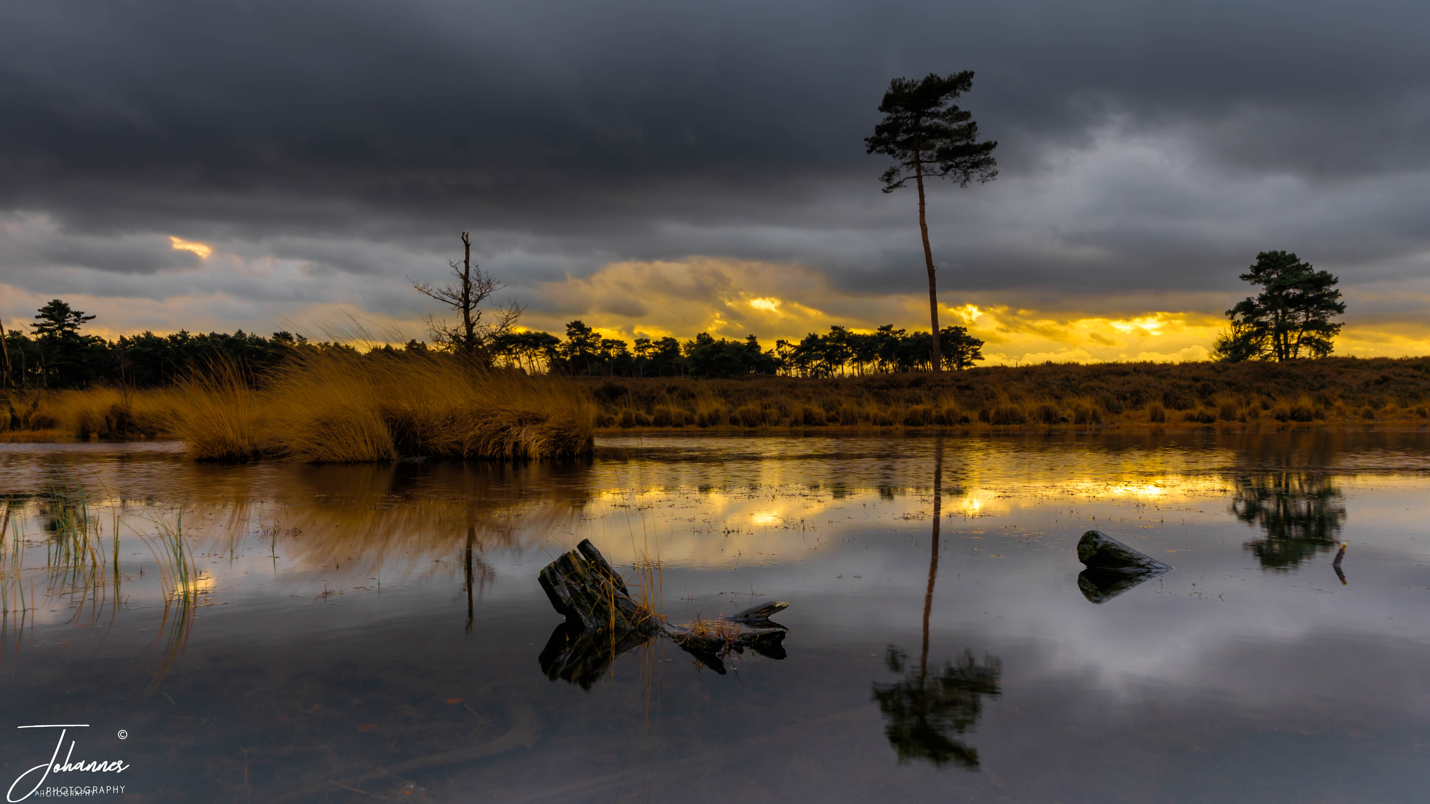 Dark moody storm clouds hovering above a glowing golden horizon reflected in a quiet heathland pond, featuring submerged tree stumps and a solitary pine tree.