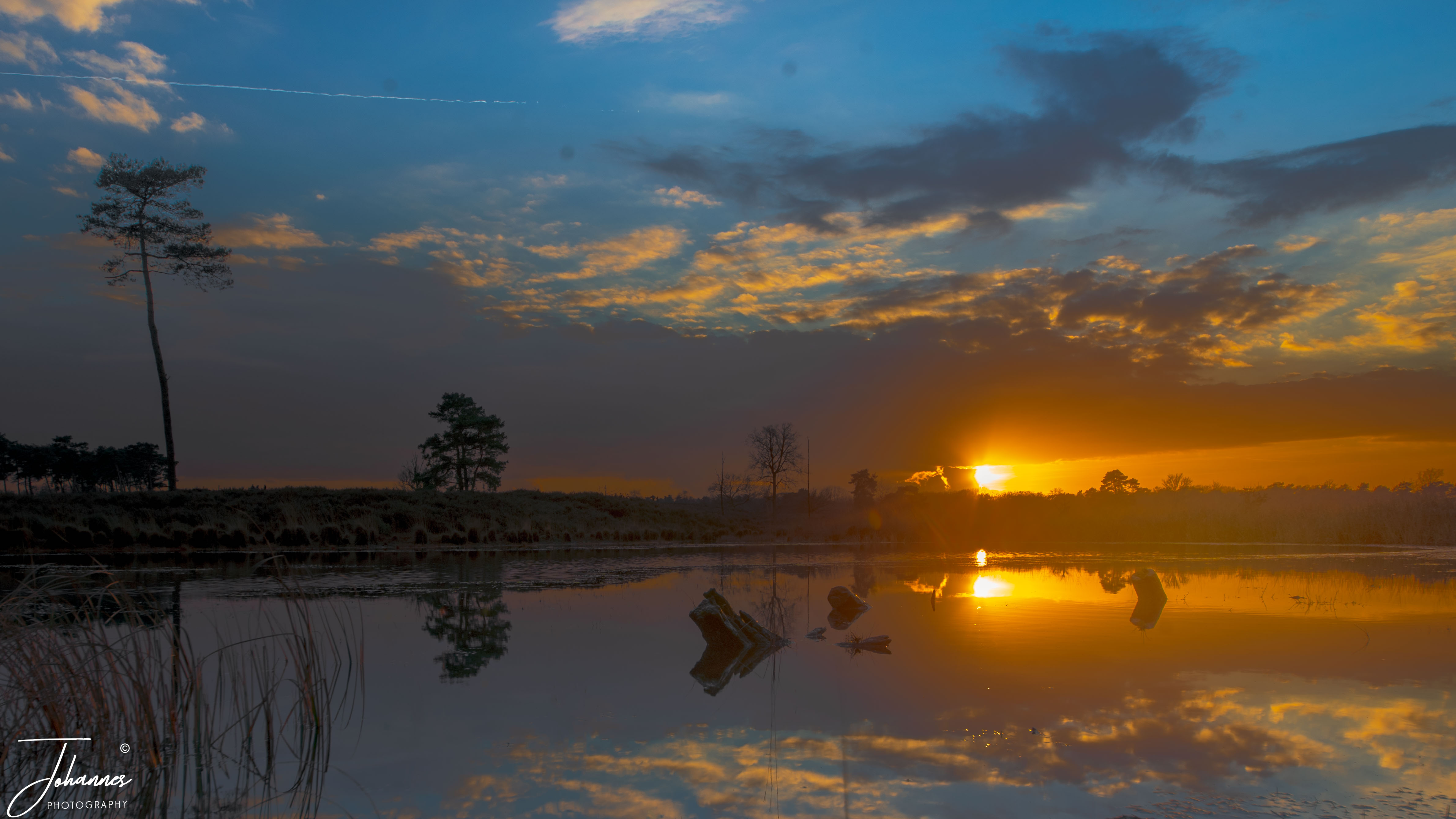 Serene landscape photo showing a golden sunset reflecting on a still moorland lake, with lone pine trees and dark clouds forming a picturesque horizon in the Netherlands.