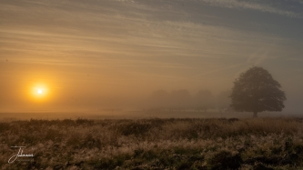 Misty, coldy sunrise#0007 Misty, coldy sunrise#0007