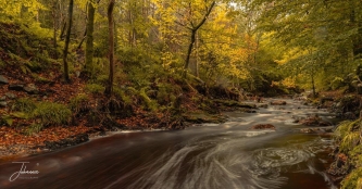 Snel stromend beekje met lange sluitertijd in begin van de herfst#0020 Snel stromend beekje met lange sluitertijd in begin van de herfst #0020