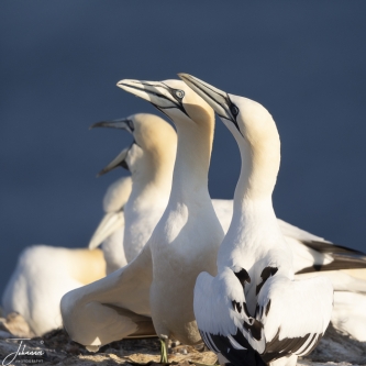 In dezelfde richting kijken!#0045 In dezelfde richting kijken!