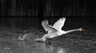 and..... we have lift off#0108 and..... we have lift off