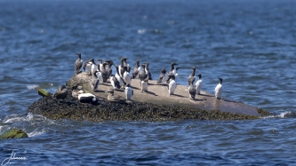 Effe uitrusten#0056 Effe uitrusten