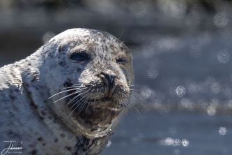 Dat is pas genieten#0063 Dat is pas genieten