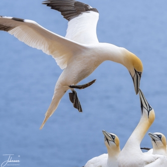 Dag schat, ik ben er weer#0072 Dag schat, ik ben er weer