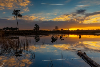 Refelectie#0112 Refelctie