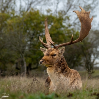 Wederzijds respect#0111 Wederzijds respect