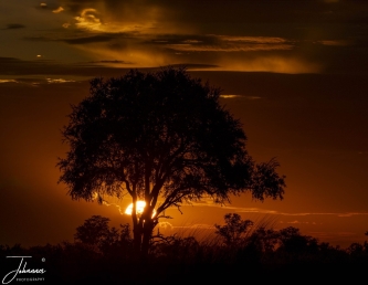 We are in Botswana in de Okavango Delta. The sun is going down, it is cloudy. During the golden hour, the sky is turning into beautiful red. This is really a wonderful experience. I also used the photo in the competition "the best photo" as a free subject. It was a close finish and just became second. #0158 The red hour