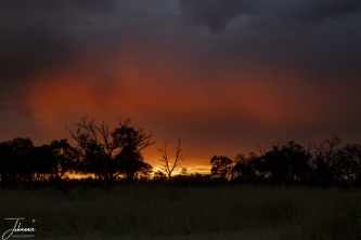 De wekker staat vroeg om 05:00. Achter onze camp-site willen we de opgaande zon fotograferen. Het is zwaar bewolkt, ... zou het iets worden... We zijn nu toch al op, dus maken wat we ervan maken kunnen. De zon begin te komen en er komt een fantastische rode gloed onder de wolken. Duurt maar een paar minuten. Erg mooi!#0144 Zonsopkomst