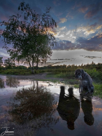 With the fourth assignemnt of the beste Photo need to create a double/multi exposure. Tried to shoot Nino and me in the reflection of the water in Nature. Although it was very rainy, it is difficult to find a place where you have a nice view, where you can place the camere and Nino and me. Ended with this picture but as it was in the evening having some shutterspeed ended up with a high ISO.#0162