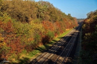 It is November. It is autumn and the weather is nice. No rain and sun. The trees in the outside environment are almost bare. In the forest, the trees are slowly starting to color. At the rail track, the colors are already beautiful. Around noon, the sun shines beautifully in it so that the colors light up beautifully.