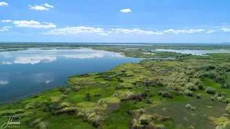 Welcome to the heart of the wild. This aerial view captures the breathtaking, vital wetlands of the beautiful Danube Delta, a protected biosphere and an unparalleled sanctuary for countless species of birds.