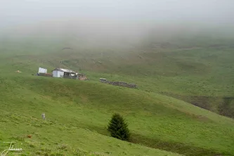 A portrait of life and enduring tradition in the remote Carpathians. This simple shack marks the solitary home where the shepherd stays day and night with their flock. Protected year-round by fierce dogs, the sheep graze the high pastures, a rugged testament to a way of life lived completely in harmony with the wild, foggy mountains.