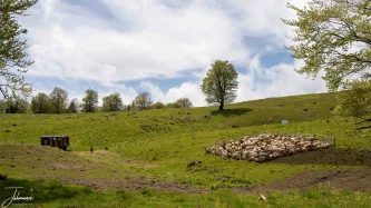 A closer look at the reality of life in the rugged Carpathians. This simple structure is home to the shepherd who stays here day and night with the sheep, relying on the protective dogs to guard the flock year-round. This scene captures the dedication and solitude of an ancient, enduring way of life.