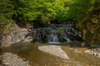 The soothing sound of the Mountain's Cascade, where clear waters carve their path through ancient rock. The air here is as clean and vibrant as the emerald forest canopy overhead. A perfect wilderness escape.