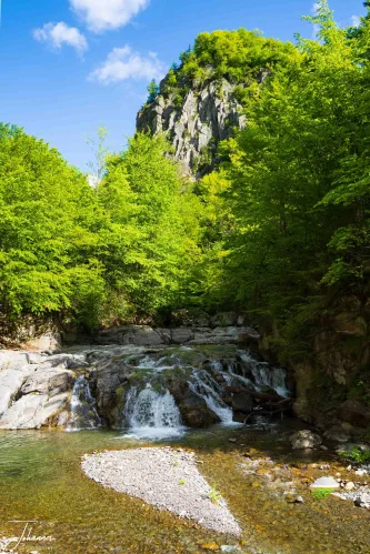 The soothing sound of the Mountain's Cascade, where clear waters carve their path through ancient rock. The air here is as clean and vibrant as the emerald forest canopy overhead. A perfect wilderness escape.