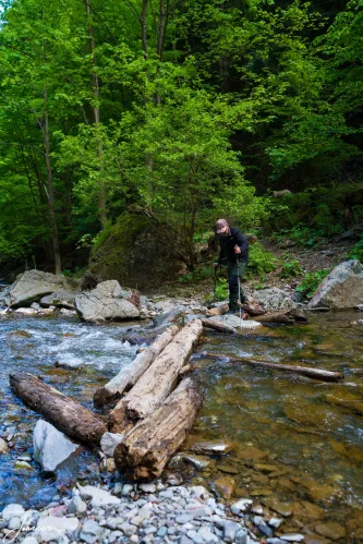 The trail tested our balance and rewarded our grit. This 15 km trek led us deep into the forest, requiring a dozen log-bridge crossings over the rushing river. Every step was an adventure—a perfect day connecting with the wild flow of nature.