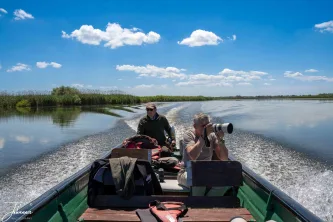 Mission: Wildlife. Guided through the labyrinthine channels of Europe's largest wetland, we join Henk on the pursuit of that once-in-a-lifetime photo. This is the passion of nature photography in the heart of the Bird Paradise.
