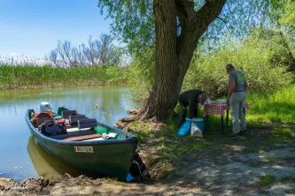 From navigating glass-like lakes and secluded channels with our expert guide, to pursuing that perfect wildlife shot, and finally, enjoying a truly local lunch amidst serene wilderness – these images capture the soul of our immersive adventure in the spectacular Danube Delta, Europe's premier bird paradise.
