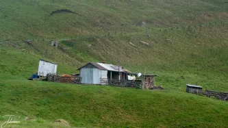 A closer look at the reality of life in the rugged Carpathians. This simple structure is home to the shepherd who stays here day and night with the sheep, relying on the protective dogs to guard the flock year-round. This scene captures the dedication and solitude of an ancient, enduring way of life.