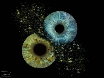 In the PhotoWorkGroup, we had the assignment to shoot iris. Looks very simple but it is very difficult to catch a sharp iris and get all the nice details. Blue eye is mine and the greenish of Yolanda. As she has a high cilinder, created a focus stack. Optimize the photo in lightroom and Topaz Photo and the final art in Photoshop.